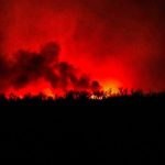 Emergency Declaration Issued Amidst Raging Wildfires in the Texas Panhandle