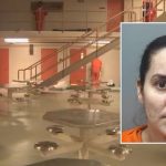 Georgia Woman's Cross-Country Theft Spree Hits Target, Exceeds $100K