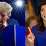 Trump and Haley's Immigration Agendas What Sets Them Apart