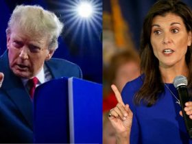 Trump and Haley's Immigration Agendas What Sets Them Apart