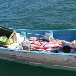 US Coast Guard's Fishing Operation 13 Fishermen Arrested, 2,160 Pounds of Illegal Fish Taken Out of Circulation