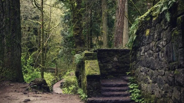 Hidden History: 5 Abandoned Places That Whisper Secrets in Oregon