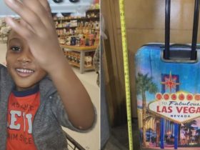 After Two Years, Mother Arrested in Heartbreaking Case of Boy Found Dead in Suitcase