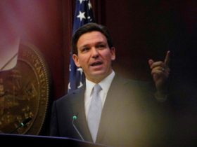 DeSantis Targets Illegal Immigrant 'Community' IDs with Tough Crackdown in Florida