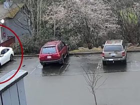 Florida Duo's Amazon Driver Disguise for Washington Baby Kidnap