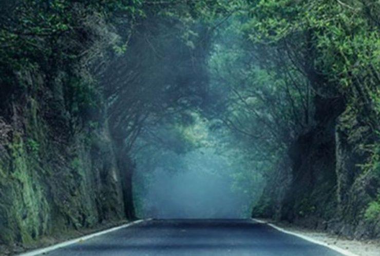 Ghostly Journeys: Exploring Ohio's Haunted Roads