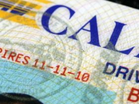 License Renewal for Seniors in California