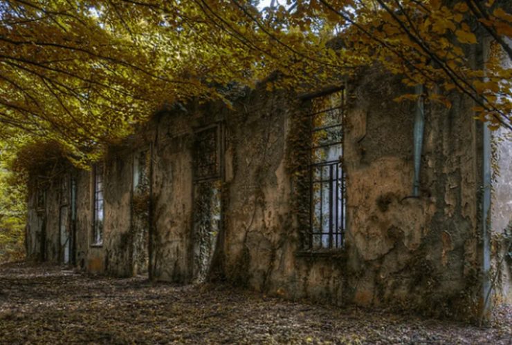The Haunting History of Georgia's Ghost Towns