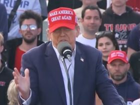 Undocumented Immigrants 'Not People,' Election Warning Issued