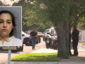 Woman Charged with Murder After Stabbing Son's Father in Miami Gardens