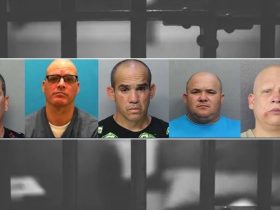 13 County Retail Theft Network Dismantled, 5 Arrested in Miami-Dade