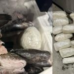 50 Pounds of Meth Found Underneath Fish by Border Patrol