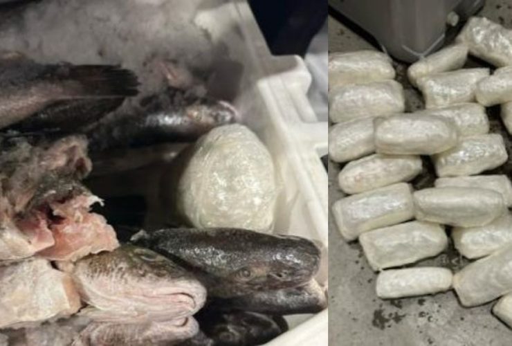 50 Pounds of Meth Found Underneath Fish by Border Patrol
