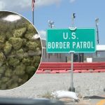 Border Patrol Seizes $139,000 Worth of Cannabis from Licensed NM Dispensary