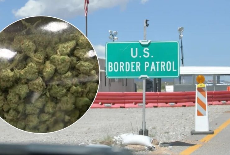 Border Patrol Seizes $139,000 Worth of Cannabis from Licensed NM Dispensary