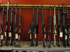 Colorado Fires Up Change: Landmark Ban on Assault Weapons Approved