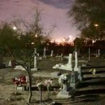 Experience Spooky Thrills: Explore Concordia Cemetery & Dine with Ghosts