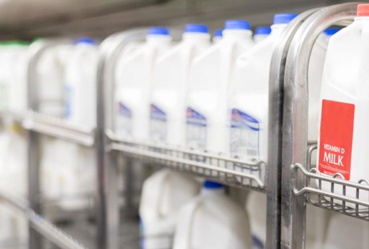 Health Alert: FDA Discovers Bird Flu Virus in 1 in 5 Retail Milk Samples