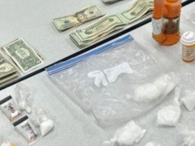 Hillsborough County Authorities Crack Down on Drug Trafficking, Two in Custody