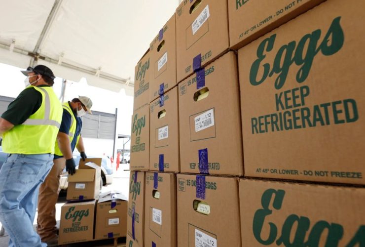 Legal Consequences $811M+ Penalty for Company Aiding Detained Immigrants