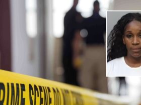 Miami Woman Faces Charges for Parked Car Assault and Robbery
