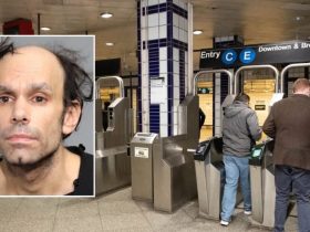 NYC Subway Scare Man with Machete Covered in Red Substance Arrested