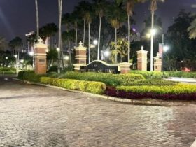 Newborn's Dead Body Found in Trash Bin at University of Tampa, Authorities Investigating