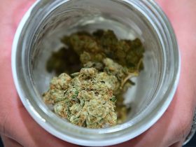 Report Predicts $1 Billion in Marijuana Tax Revenue for Pennsylvania