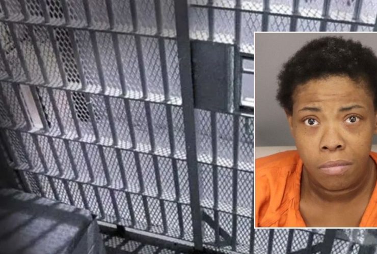 St. Pete Tragedy: Child Consumes Cocaine, Woman Assaults Another Child