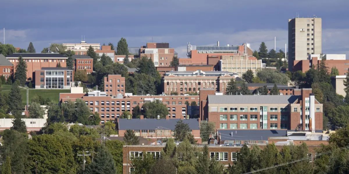 Washington's Collegiate Charms: 5 Towns Worth a Visit