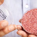 Alabama Joins Trend: Bans Lab-Grown Meat After DeSantis' Move