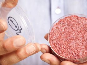 Alabama Joins Trend: Bans Lab-Grown Meat After DeSantis' Move