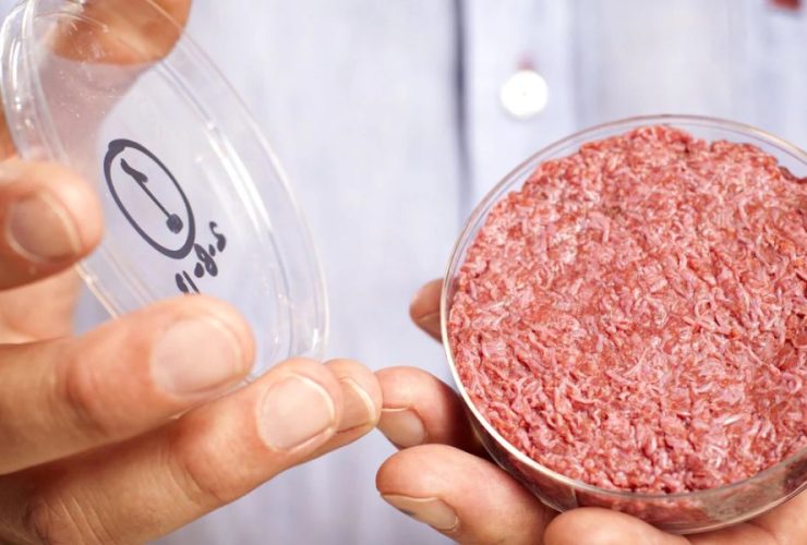 Alabama Joins Trend: Bans Lab-Grown Meat After DeSantis' Move