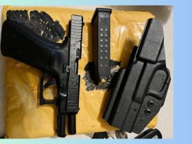 Authorities Apprehend 4 Suspects in North Georgia Mail Drug and Gun Smuggling Bust