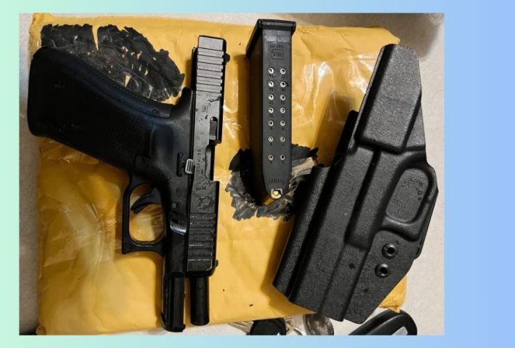 Authorities Apprehend 4 Suspects in North Georgia Mail Drug and Gun Smuggling Bust