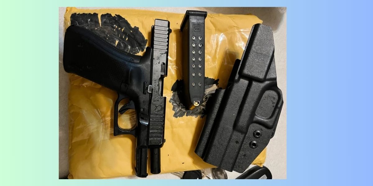 Authorities Apprehend 4 Suspects in North Georgia Mail Drug and Gun Smuggling Bust