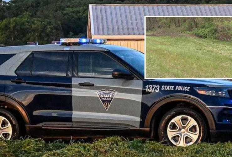 Bear Takes Action at Massachusetts Crash, Drags Victim's Body from Car
