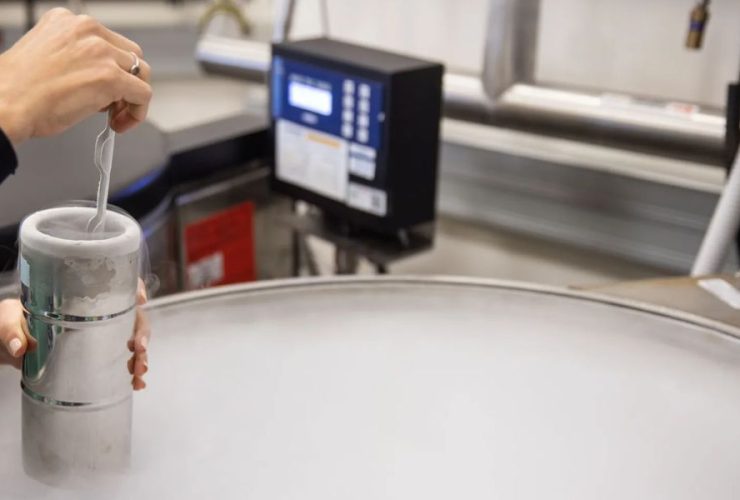 Controversial Frozen Embryo Decision: Alabama Supreme Court Holds Ground