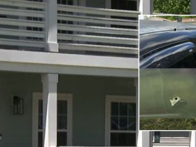 Delivery Nightmare 7 Times Shots Fired as Pizza Driver Parks in Wrong Driveway