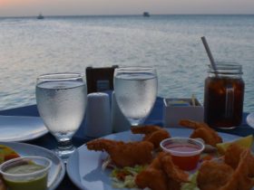 Flavors of the Gulf: A Guide to Sanibel Island's Best Seafood Haunts