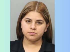 Fraudulent Schemes Miami Tag Agency Clerk Charged in $3 Million Title Scandal