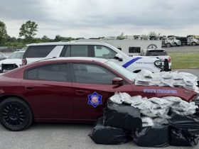 Major Drug Bust: Arkansas State Police Seize $10,000 and 200+ Pounds of Marijuana, 2 Arrested