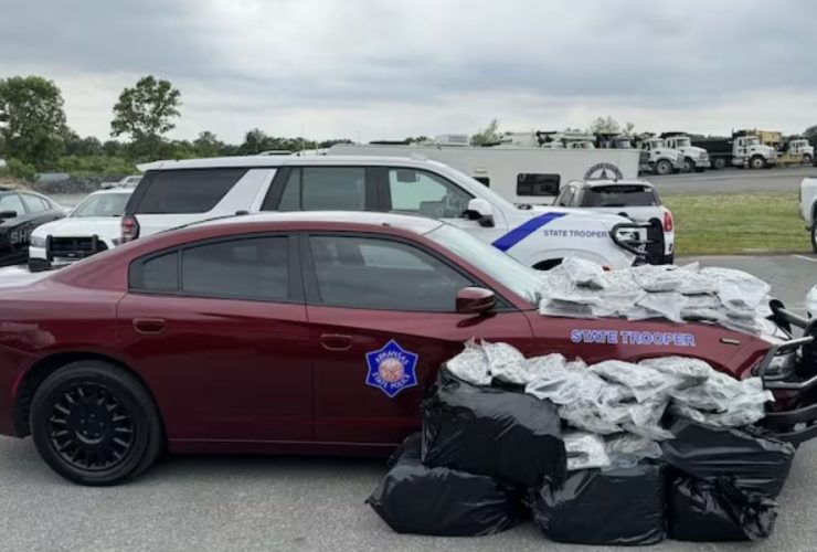 Major Drug Bust: Arkansas State Police Seize $10,000 and 200+ Pounds of Marijuana, 2 Arrested