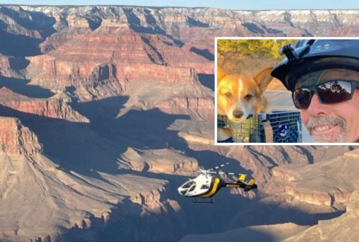 Mystery Unraveled Man's Body Discovered Alongside Dog on Colorado River Raft in Grand Canyon