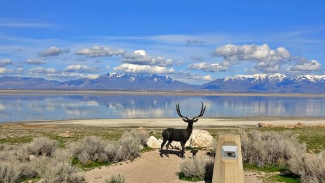 Shoreline Escapes: Finding Coastal Bliss Near Salt Lake City, Utah