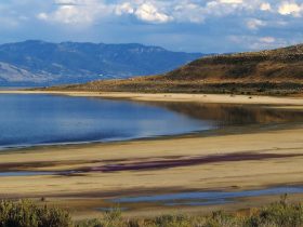 Shoreline Escapes: Finding Coastal Bliss Near Salt Lake City, Utah