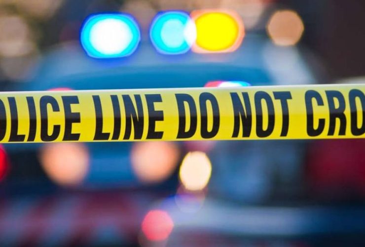 South Dakota Boy, 9, Killed in Vicious Feral Dog Attack