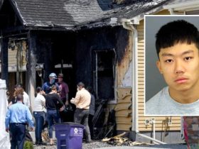 Teen Sets Wrong House on Fire, Killing Entire Family Over Stolen iPhone