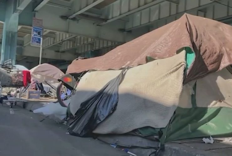 Grandfather Abandons Granddaughter with Homeless Woman: Authorities