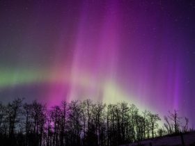 US Braces for Spectacular Aurora Display: Geomagnetic Storm Alert!